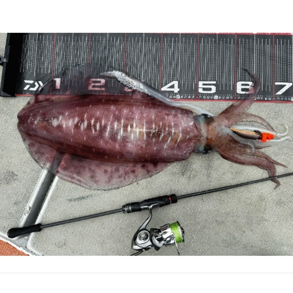 23EMERALDAS STOIST ST